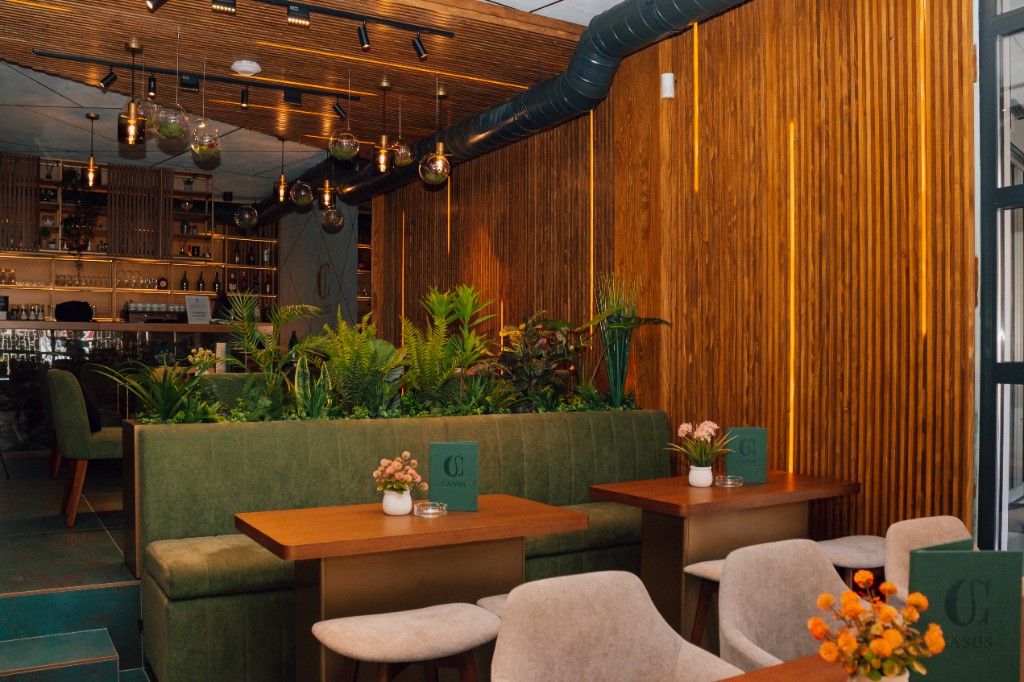 Prostorija Casus sa maslinasto-zelenom garniturom, drvenim stolovima, saksijama i toplim osvetljenjem.